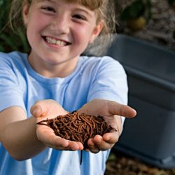 Children’s Vermicomposting Kit!